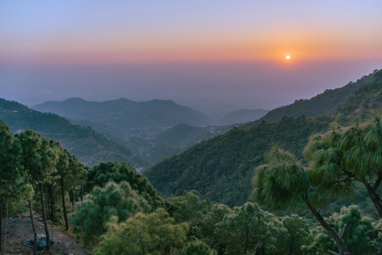 Apartmán Panormic View By The North Edge Kasauli Exteriér fotografie
